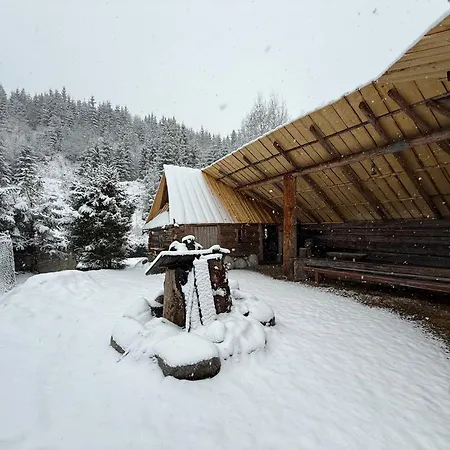 Frühstückspension Jaskolka Ciche Małe