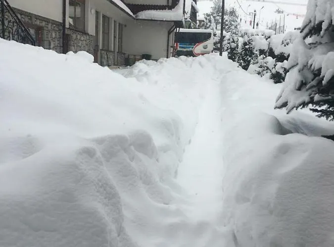 Jaskółka Ciche Małe